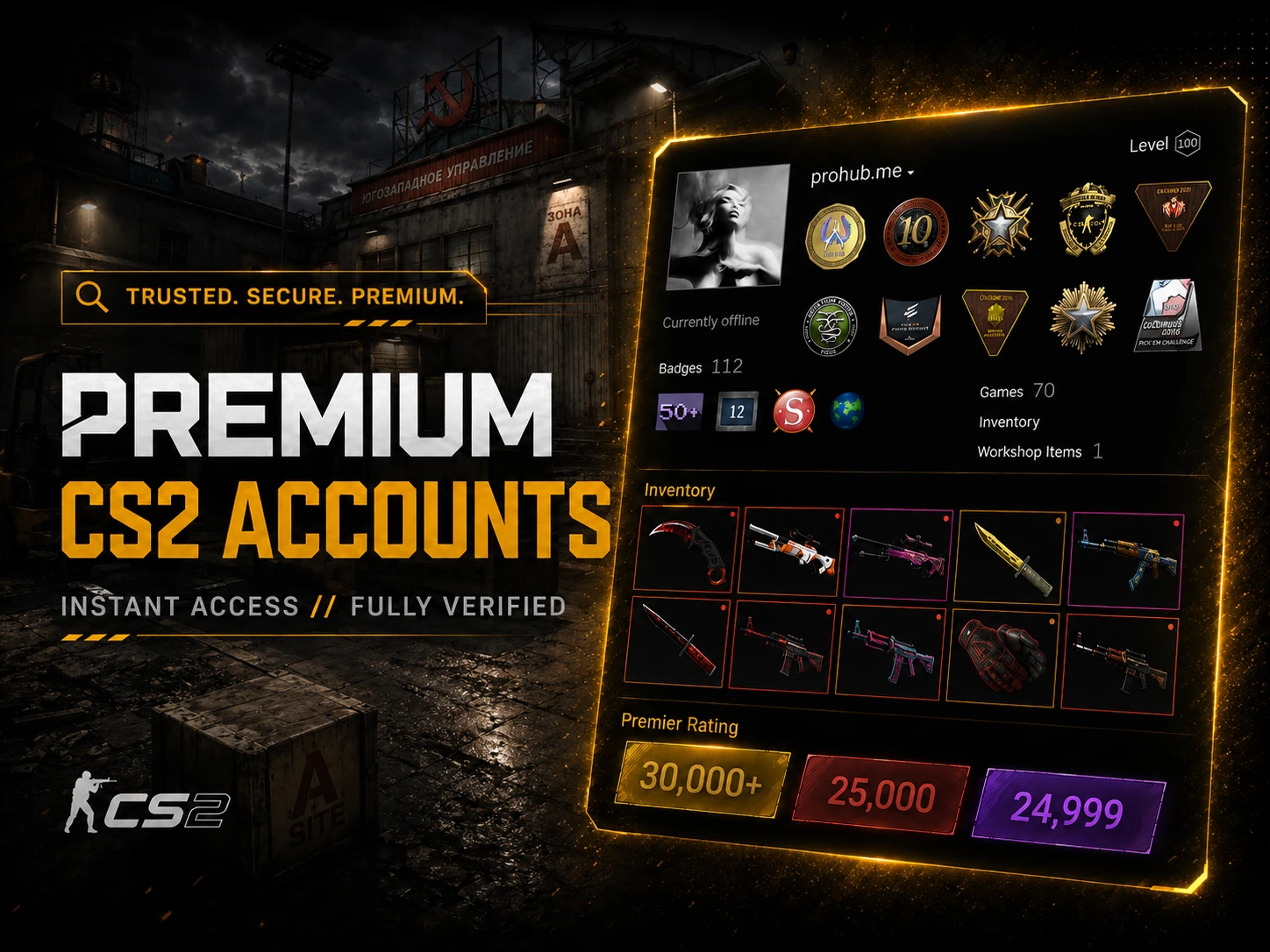 CS2 Premium Accounts